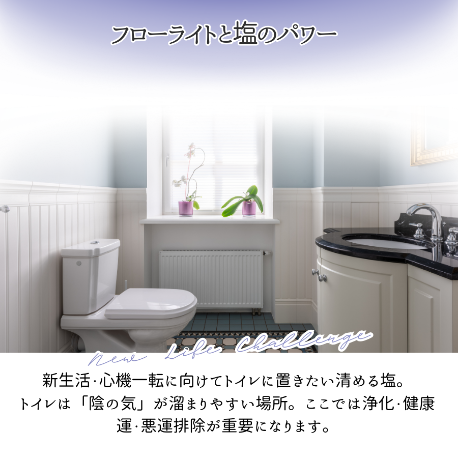 交換不要盛り塩【心の整理と集中力UP】フローライト入り|風水×思考力|子供部屋・仕事部屋・勉強机に最適|癒しの知性石