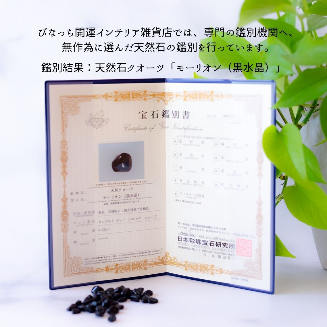 モリオン【AAA品質】さざれ石100g 天然石パワーストーン|観賞用・インテリア・オルゴナイト・盛り塩・魔除け・浄化におすすめの黒水晶