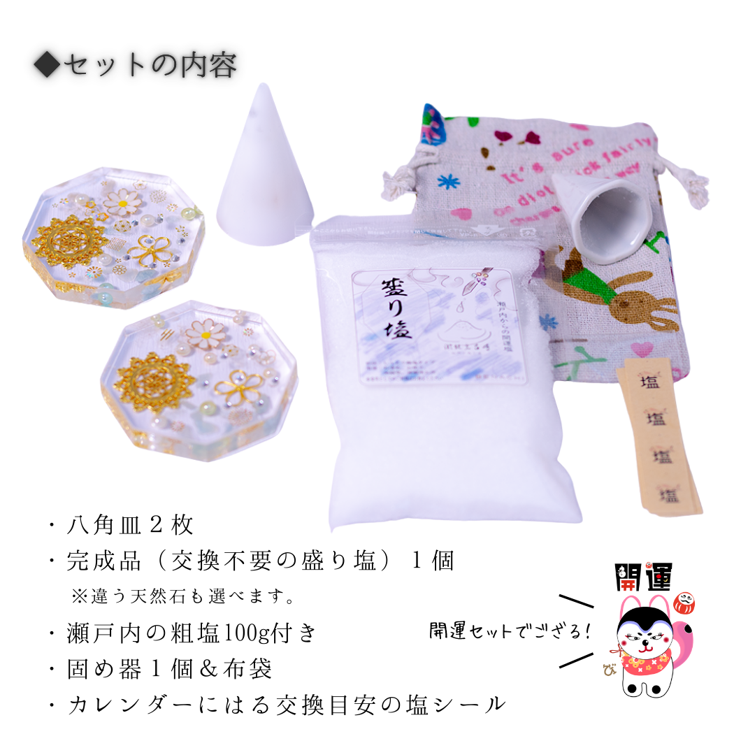 交換不要 盛り塩 セット 八角皿 風水オルゴナイト 粗塩100g 固め器 布袋付き 初めてでも作れる 開運 厄除け 玄関 置物 ギフト 風水 水晶