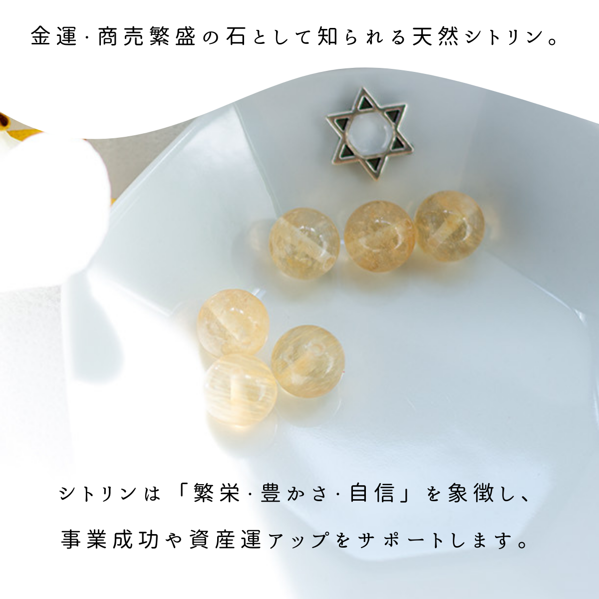 【交換不要盛り塩くま キング & プリンス 】天然シトリンペンダント付｜商売繁盛・金運アップ・浄化｜玄関・デスク・店舗レジに最適｜開運インテリア置物