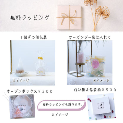 【最強の魔除け＆金運引き寄せ】モリオン＆ブラックルチルクオーツ風水盛り塩セット｜邪気払いと財運向上のための守護インテリア