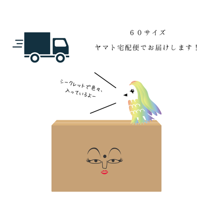 2026年 福袋 開運 福袋 風水 盛り塩 交換不要 天然石 モリオン ローズクォーツ アメジスト 風水オルゴナイト 3D絵画 八角皿 幸運 セット びなっち