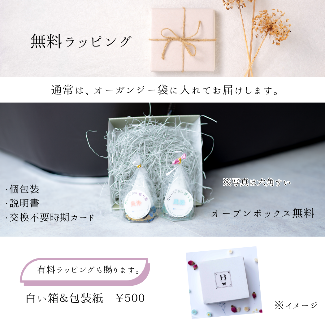 2026年 開運 おしゃれ 交換不要 盛り塩 六角すい 2個セット 風水 オルゴナイト 浄化 モリオン ラピスラズリ シトリン アベンチュリン ローズクオーツ アクアマリン 運気アップ 玄関 置物 インテリア ギフト