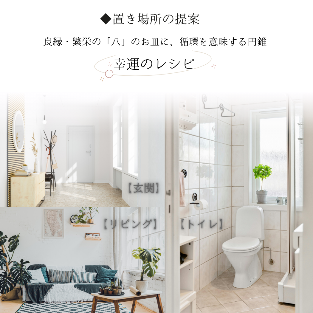 交換不要 盛り塩 セット 八角皿 風水オルゴナイト 粗塩100g 固め器 布袋付き 初めてでも作れる 開運 厄除け 玄関 置物 ギフト 風水 水晶