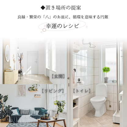 交換不要 盛り塩 セット 八角皿 風水オルゴナイト 粗塩100g 固め器 布袋付き 初めてでも作れる 開運 厄除け 玄関 置物 ギフト 風水 水晶