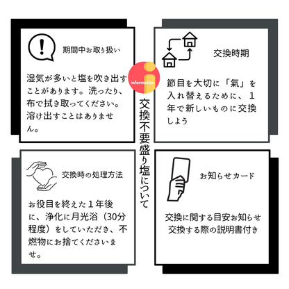 交換不要 盛り塩 セット 八角皿 風水オルゴナイト 粗塩100g 固め器 布袋付き 初めてでも作れる 開運 厄除け 玄関 置物 ギフト 風水 水晶