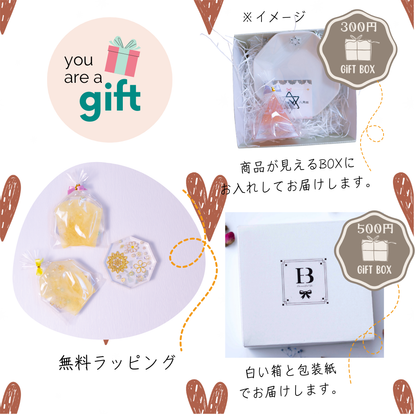 交換不要 盛り塩 セット 八角皿 風水オルゴナイト 粗塩100g 固め器 布袋付き 初めてでも作れる 開運 厄除け 玄関 置物 ギフト 風水 水晶