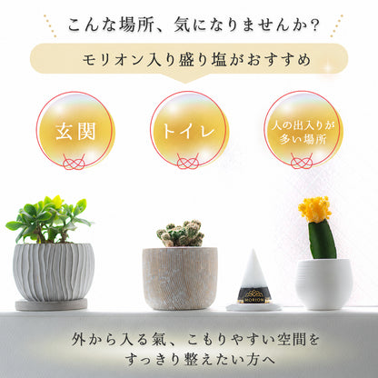 モリオン盛り塩 2個セット｜交換不要・1年間置くだけ 厄除け 魔除け 開運インテリア 八角皿付き