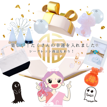 2026年 福袋 開運 福袋 風水 盛り塩 交換不要 天然石 モリオン ローズクォーツ アメジスト 風水オルゴナイト 3D絵画 八角皿 幸運 セット びなっち