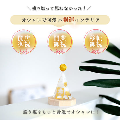 交換不要 盛り塩 商売繁盛 開店祝い 開業祝い 移転祝い 開運 インテリア おしゃれ だるま ひょうたん 小判 千鳥 菊 大入 八角 台座 ギフト