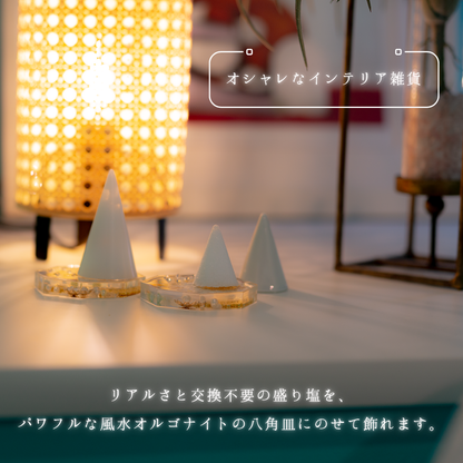 交換不要 盛り塩 セット 八角皿 風水オルゴナイト 粗塩100g 固め器 布袋付き 初めてでも作れる 開運 厄除け 玄関 置物 ギフト 風水 水晶