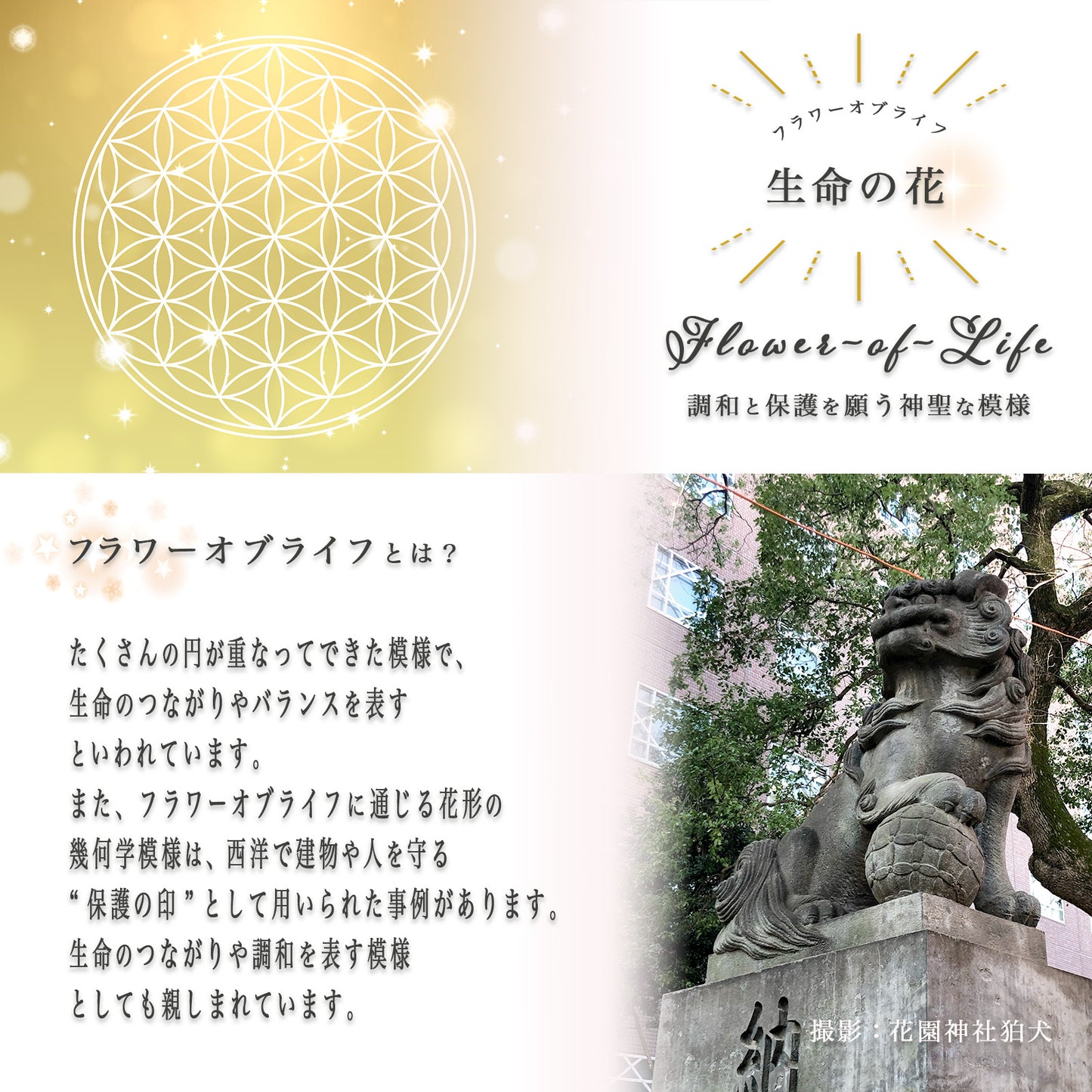 フラワーオブライフ 幸せのお守りチャーム 開運 バッグチャーム キーホルダー 神聖幾何学 生命の花 魔除け かわいい 花モチーフ ゴールド ブラック ホワイト レディース ギフト BENACHI