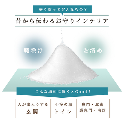 交換不要 盛り塩 セット 八角皿 風水オルゴナイト 粗塩100g 固め器 布袋付き 初めてでも作れる 開運 厄除け 玄関 置物 ギフト 風水 水晶