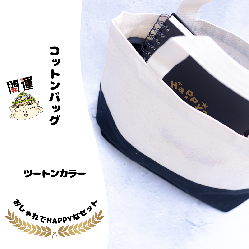 2026年 福袋 開運 福袋 風水 盛り塩 交換不要 天然石 モリオン ローズクォーツ アメジスト 風水オルゴナイト 3D絵画 八角皿 幸運 セット びなっち