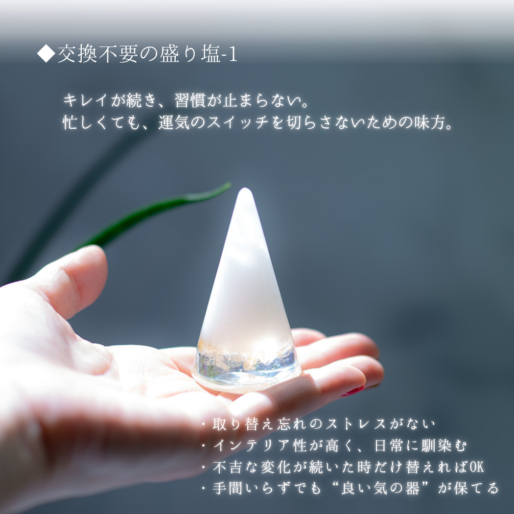 交換不要 盛り塩 セット 八角皿 風水オルゴナイト 粗塩100g 固め器 布袋付き 初めてでも作れる 開運 厄除け 玄関 置物 ギフト 風水 水晶