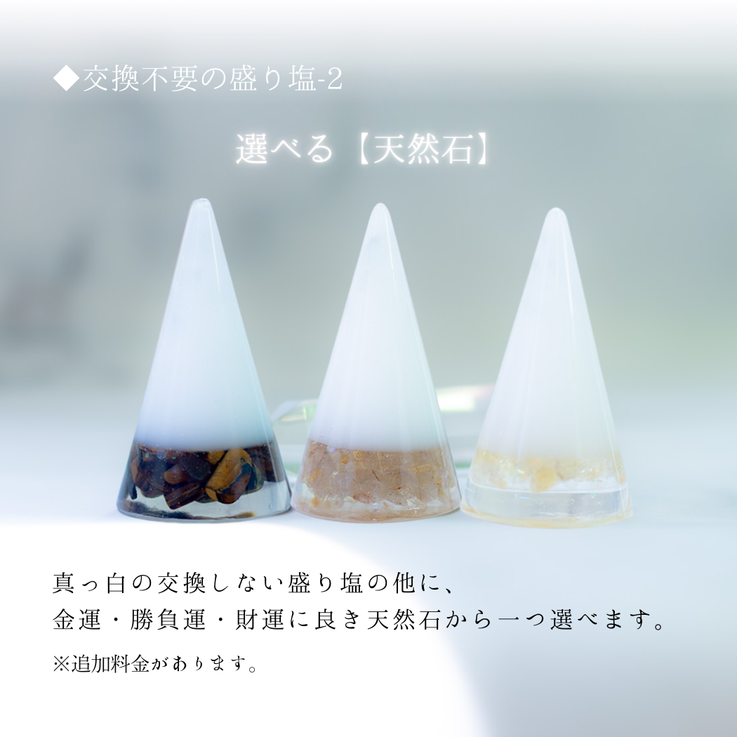 交換不要 盛り塩 セット 八角皿 風水オルゴナイト 粗塩100g 固め器 布袋付き 初めてでも作れる 開運 厄除け 玄関 置物 ギフト 風水 水晶